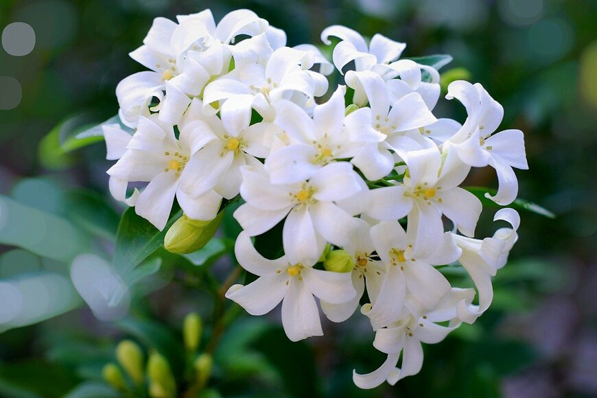 2026年度の年金改定、あなたの受給額はいくら増える？ライフコース別《65歳以降の年金額例》5つのパターン