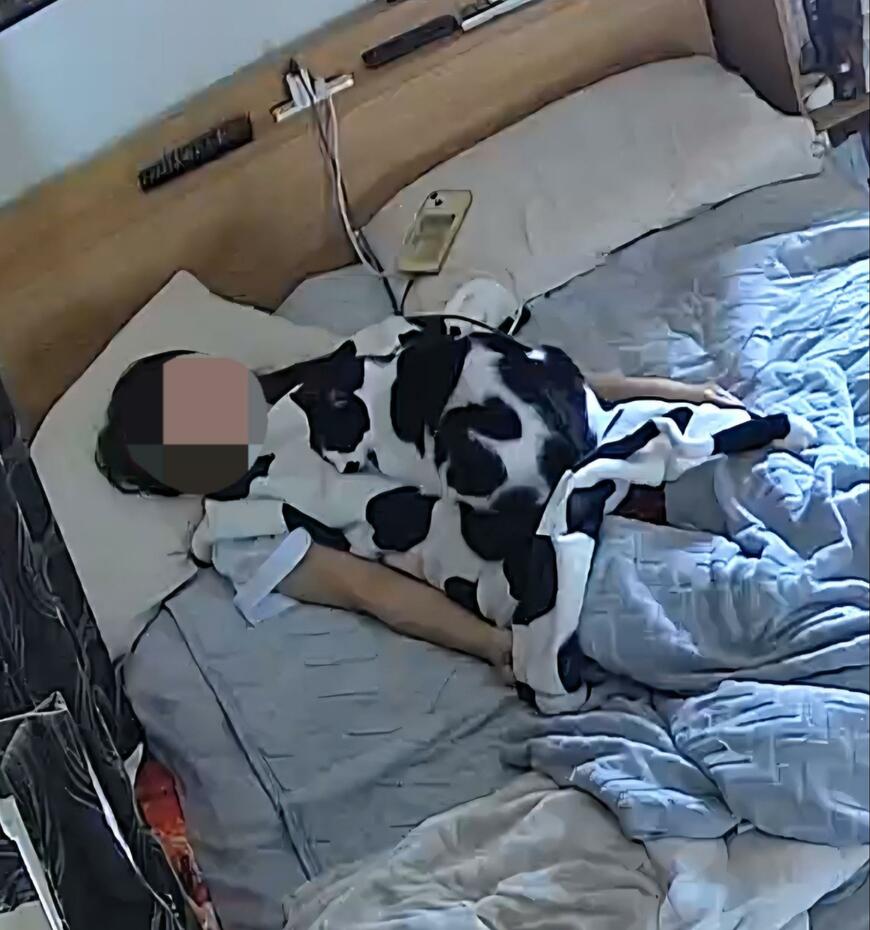 出所：@chimakiningen