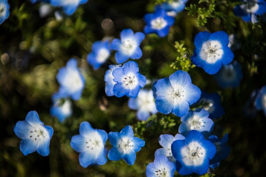 T_Mizuguchi/istockphoto.com