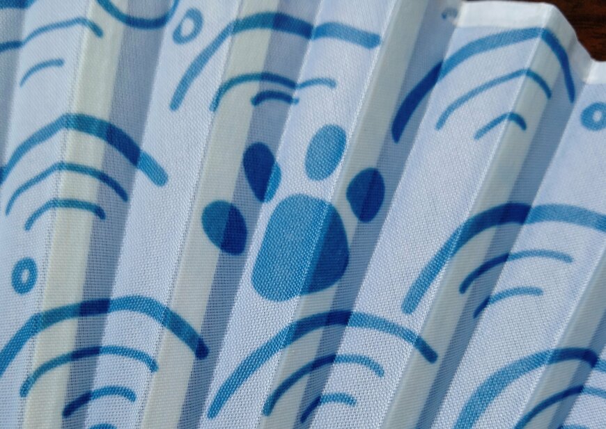 筆者撮影（セリア、モダン扇子　猫青海波柄）