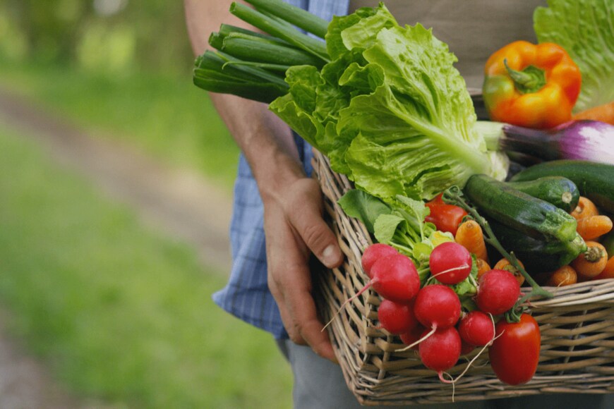 Kitreelsha/shutterstock.com