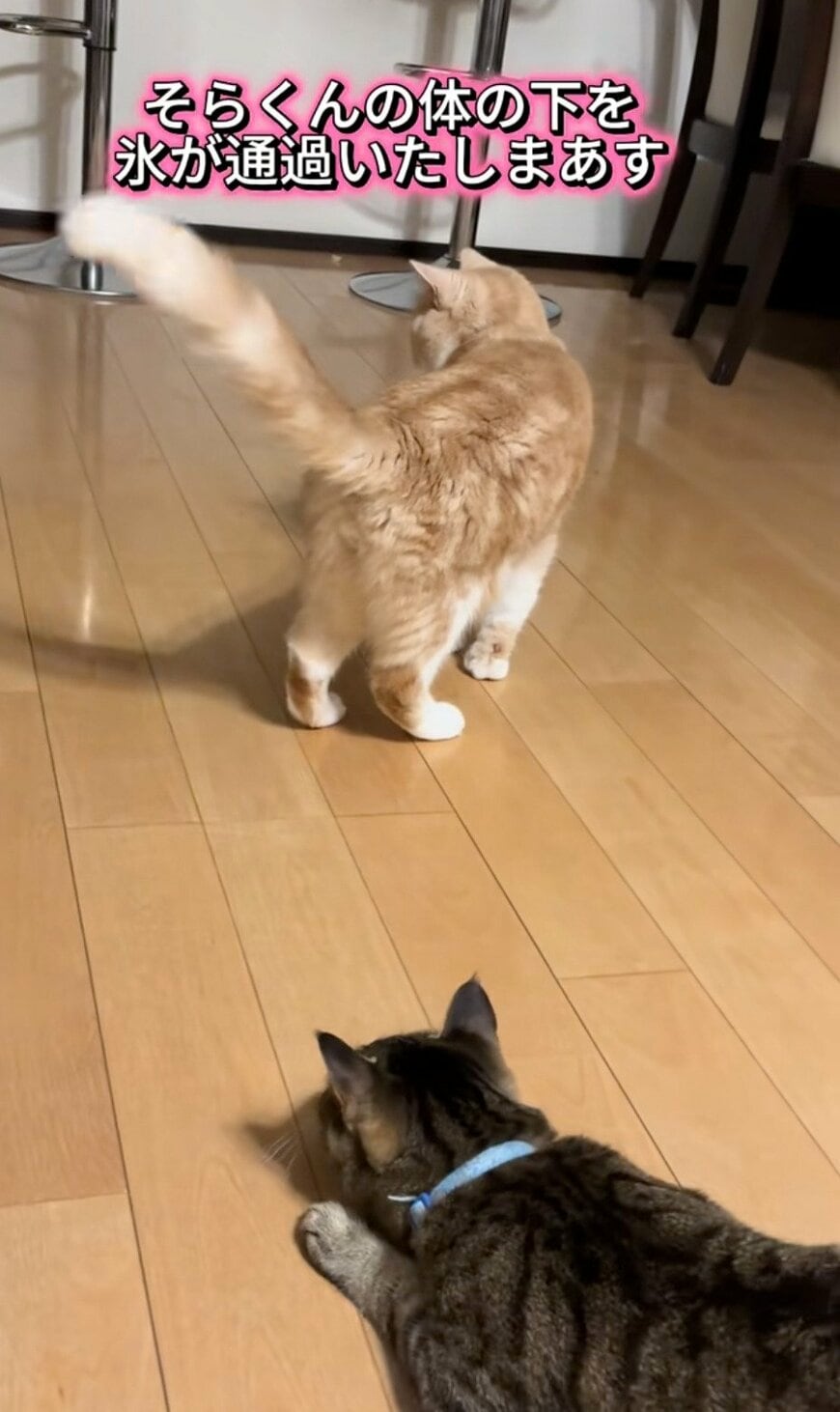 出所：@sorakai0905