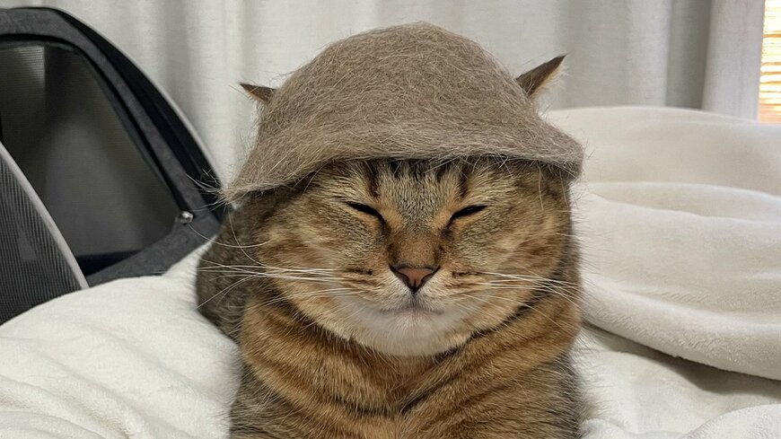 出所：@MiniraDiary