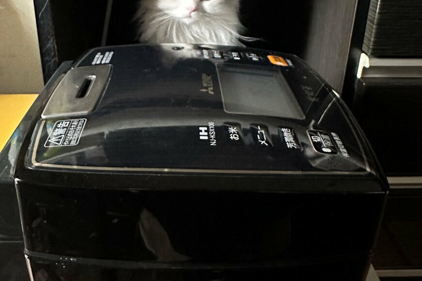 猫を探していたら「炊飯器の妖精」が…可愛い姿に2.9万バズ