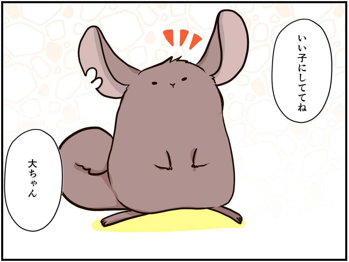 覚悟していても辛いペットの死。チンチラの看護生活から別れまでの