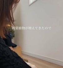 【築5年戸建DIY】ラックでスッキリ北欧風に！大変身した観葉植物コーナーが「素敵です」と話題