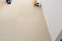 ゴミ出しから戻ると…出迎えてくれたコーギーの姿が話題　「これはメッチャ嬉しい光景」