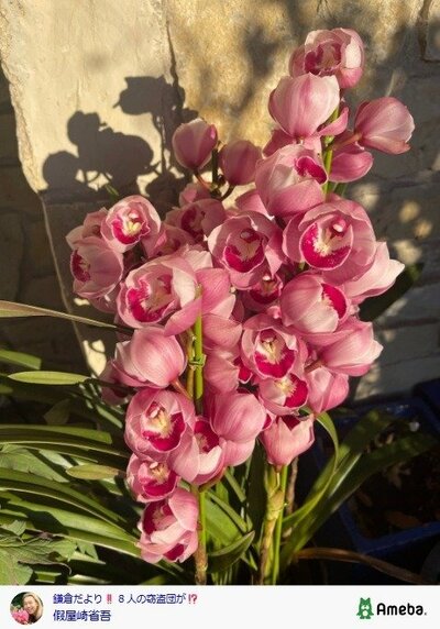 假屋崎省吾の公式ブログ投稿