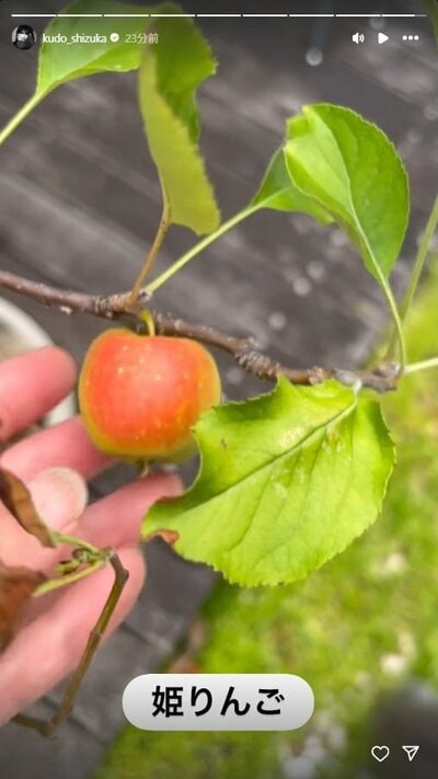 工藤静香のInstagram投稿