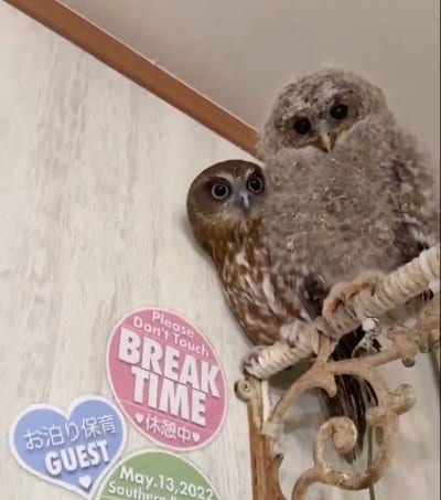 投稿動画のワンシーン
