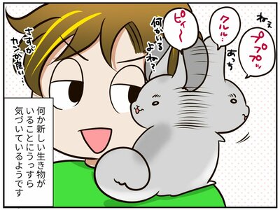 チンチライフ181話