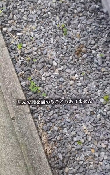 投稿の画像
