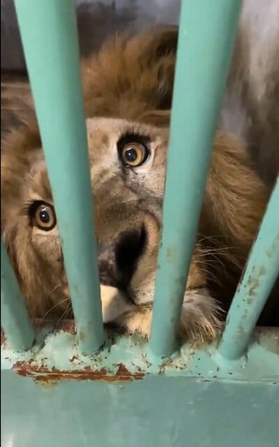 愛媛県立とべ動物園