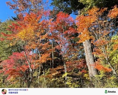 假屋崎省吾のInstagram投稿