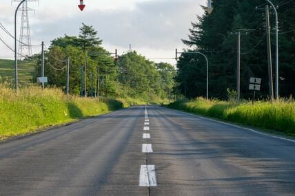 道路に散らばる大量のオクラを発見　誰も踏まない不思議な光景に「救助しないと！」「何があった？」