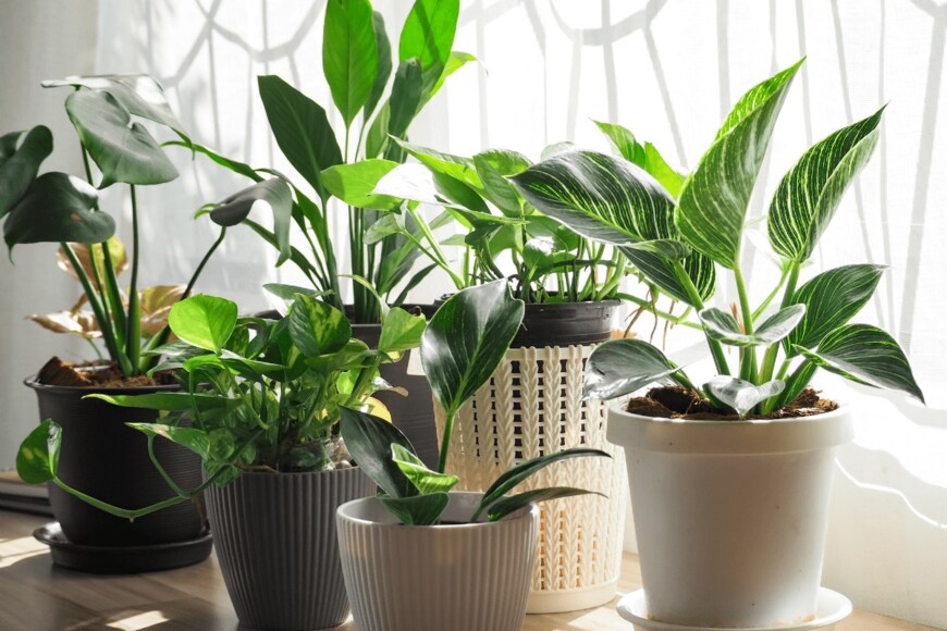 Nirunya Juntoomma/istockphoto.com