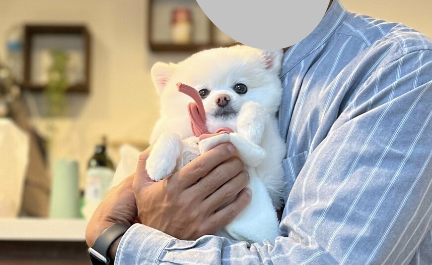 出所：@boku_ponchan