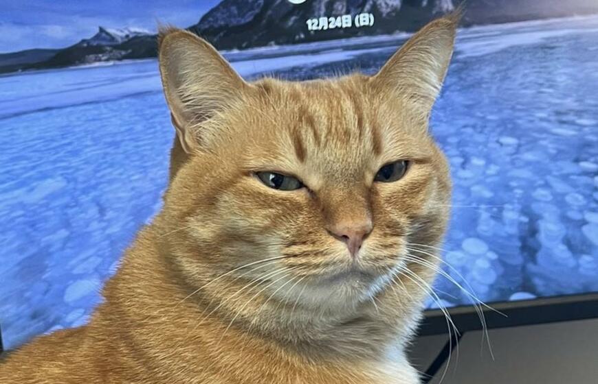 出所：@kagisuzu0531