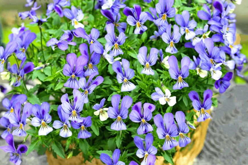 syan/istockphoto.com