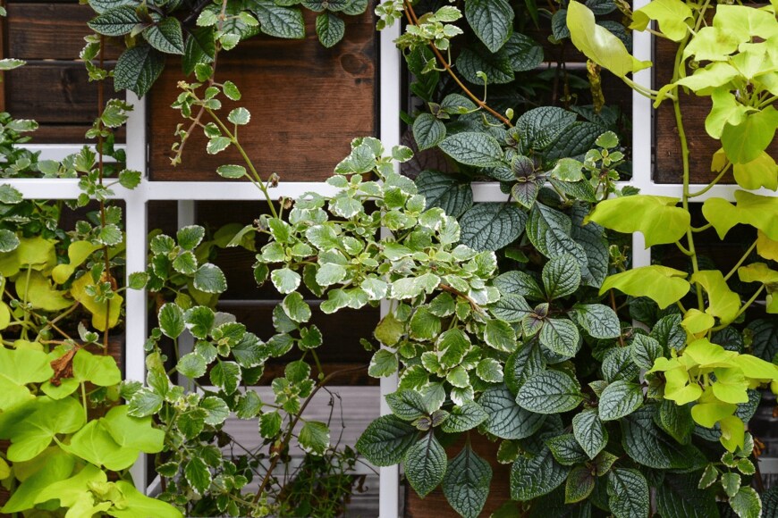 Iryna_L/istockphoto.com