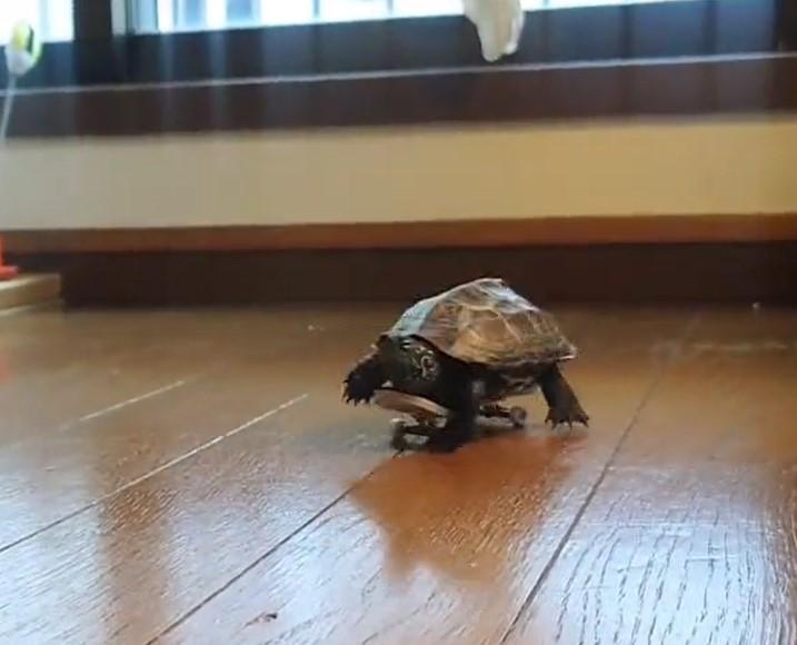 出所：@Mh0MLiErcV8E97C