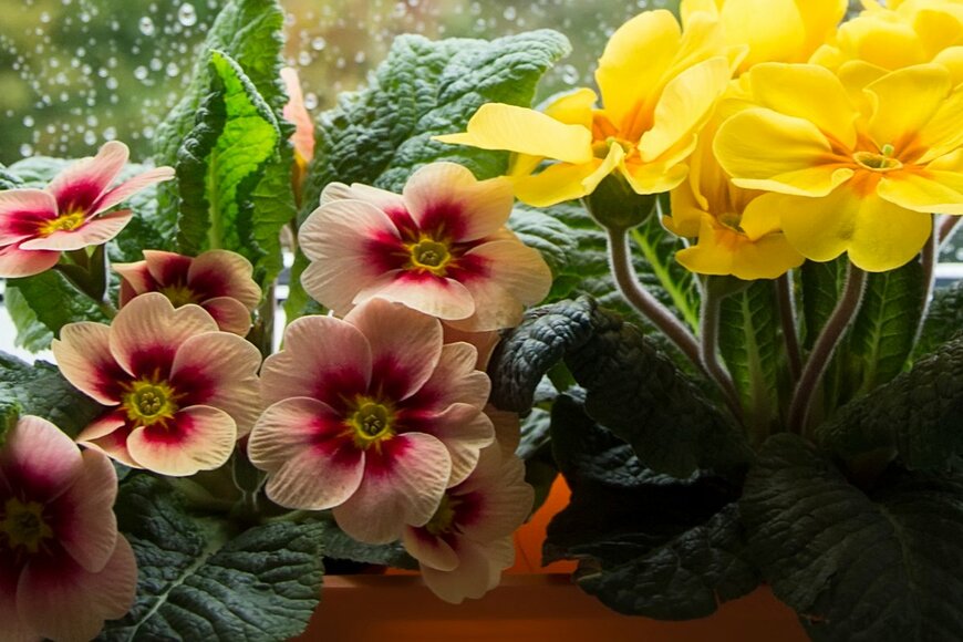 Galileo30/shutterstock.com