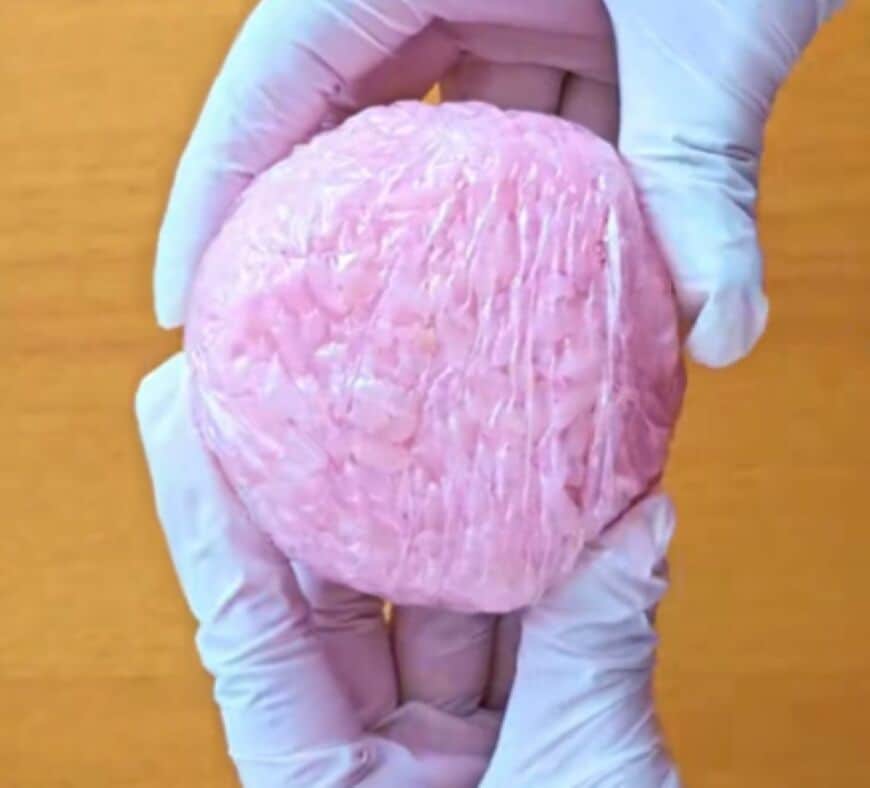 おにぎりで作る【カービィ弁当】が可愛い！大人＆子どもウケ抜群の簡単キャラ弁