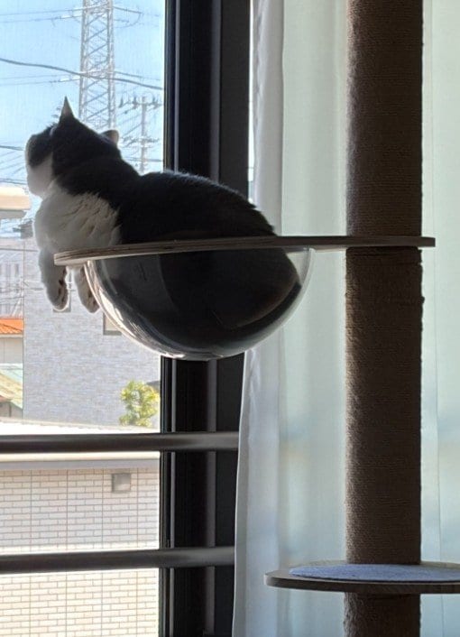 出所：@brimochi222