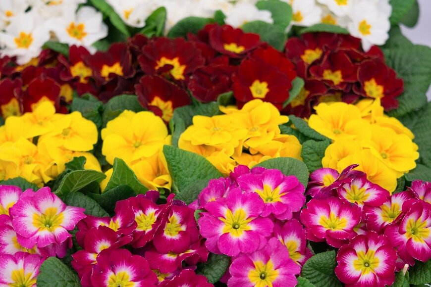 y-studio/istockphoto.com