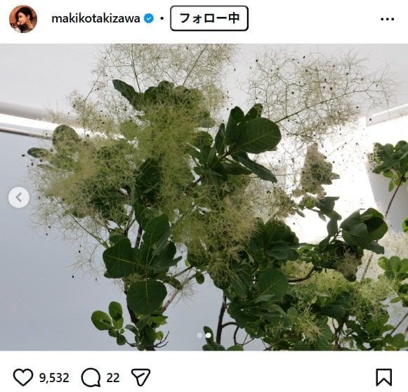 出所：滝沢眞規子のInstagram（＠makikotakizawa） 参照日：2026年6月2日