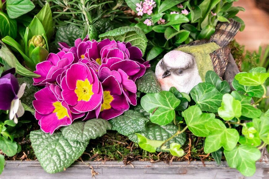 O de R/shutterstock.com