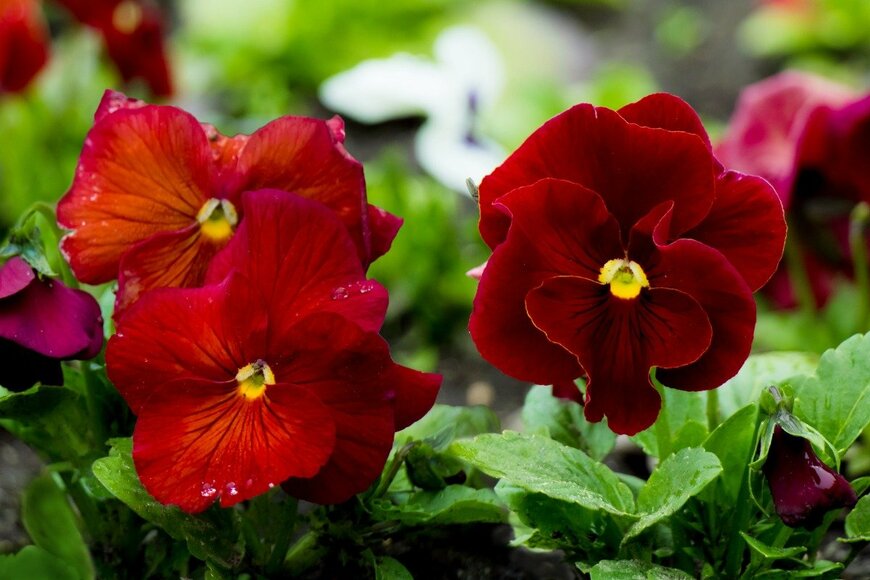 LUMIKK555/istockphoto.com