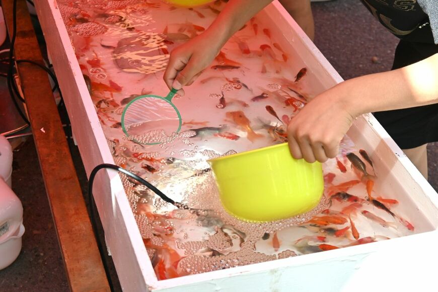 【夏休みの宿題】貯金箱「パパやママも子供のころ作った！」夏休みの定番「ゆうちょアイデア貯金箱コンクール」に大谷翔平選手賞が新設されました