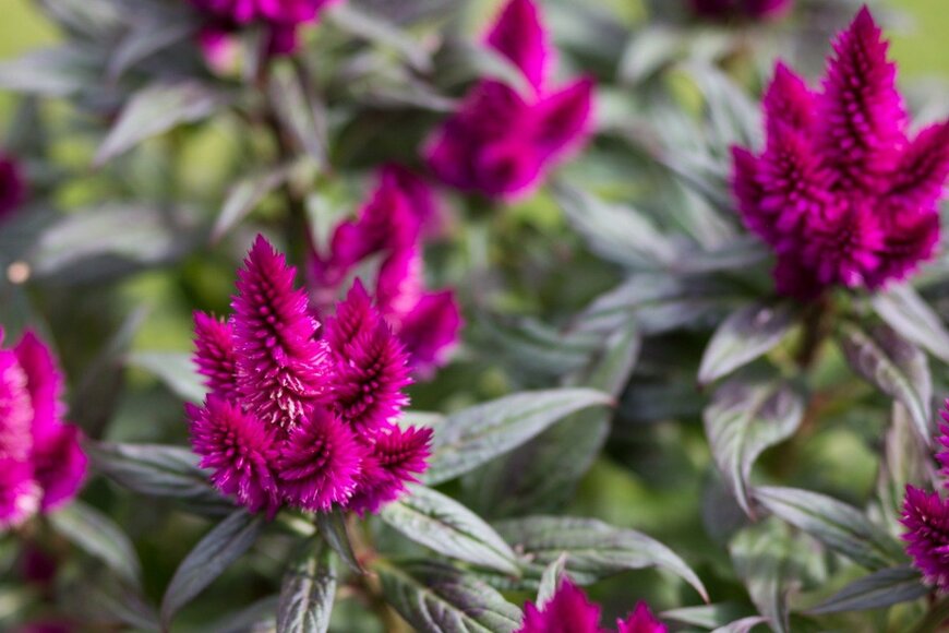 Nagalski/istockphoto.com