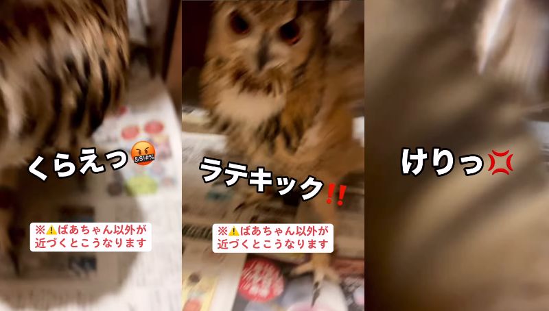 出所：@ba_chantolatte