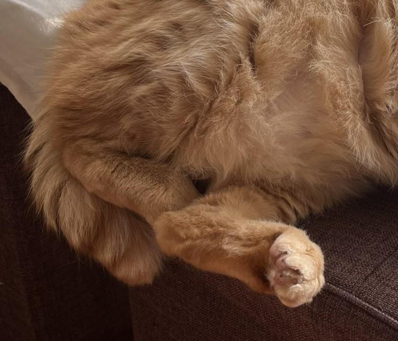 出所：@kagisuzu0531