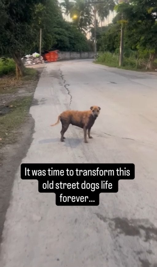 出所：@niall.harbison