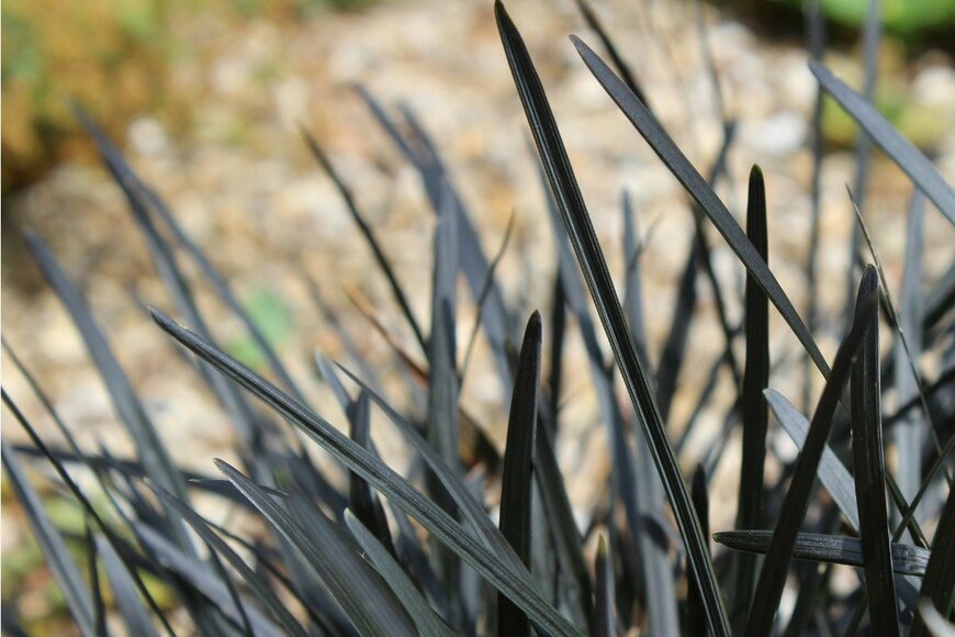 Imladris01/istockphoto.com