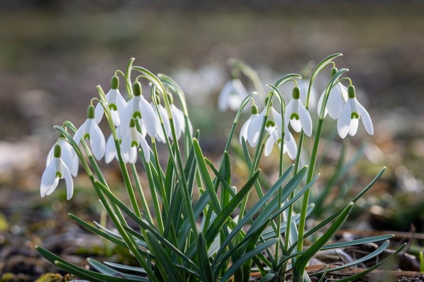 KajaHiis/shutterstock.com