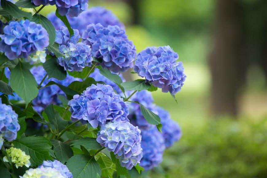 paprikaworks/istockphoto.com