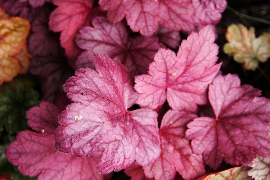 Gratysanna/istockphoto.com