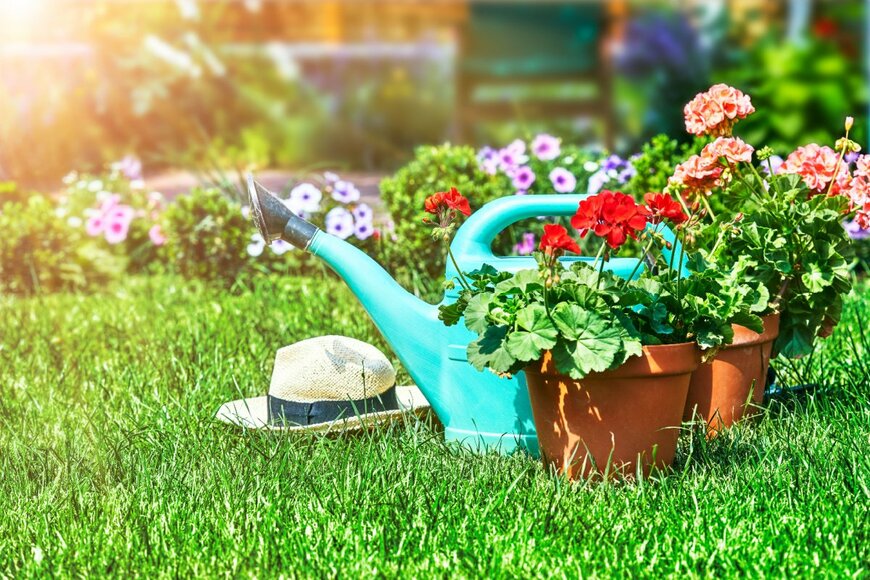 Yasonya/shutterstock.com