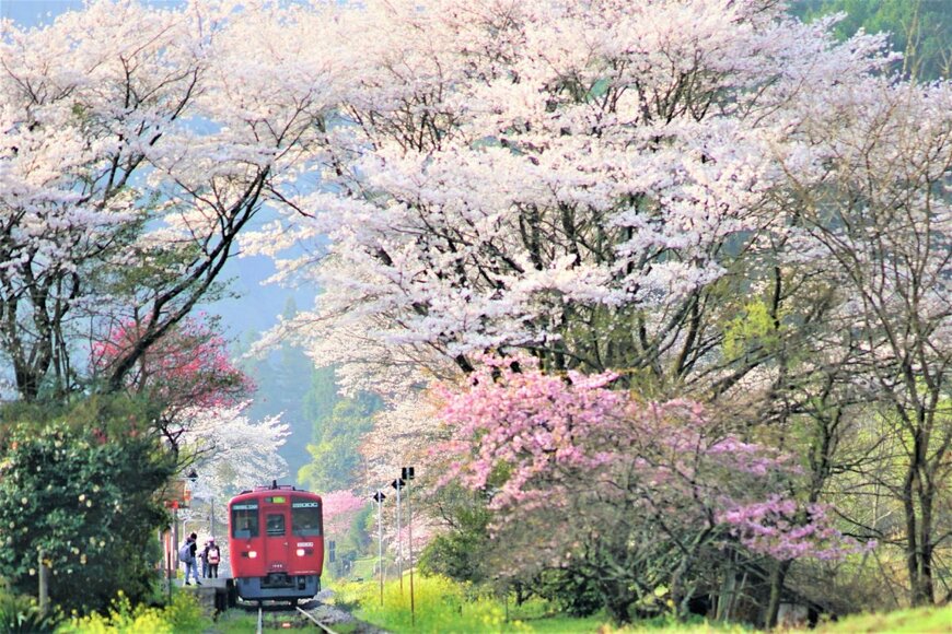 Amornrit Akkavangso/shutterstock