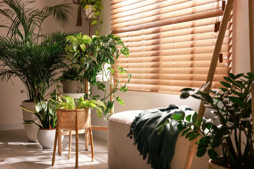 【観葉植物】部屋ごとに選ぶ！おすすめインテリアグリーンとオシャレな飾り方を紹介