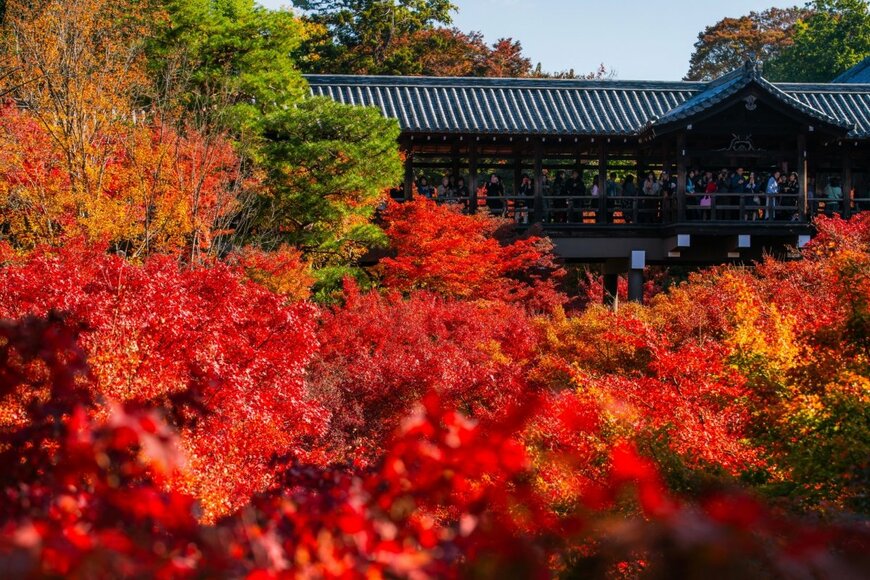 東福寺の通天橋と紅葉