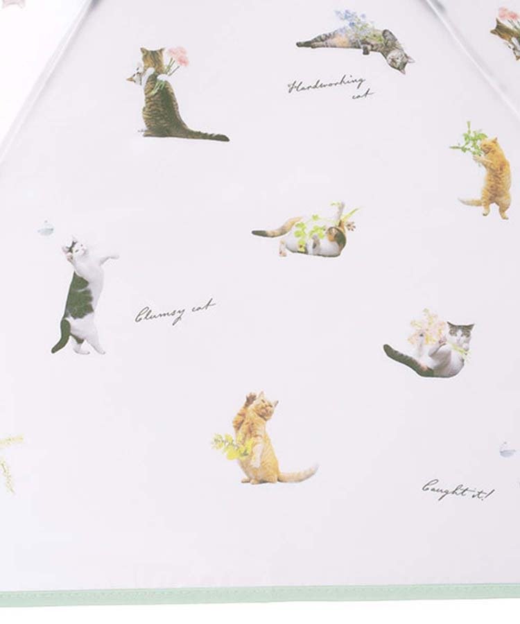 ブルーブルーエ公式　プラスティックアンブレニャン雨折傘