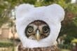 「自転車のカゴ」に止まるフクロウに違和感→かわいすぎる被り物姿が話題に