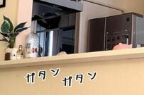 保護猫の飼い主がテレビを観ていると…　「猫たちの個性」がはっきりした行動が話題