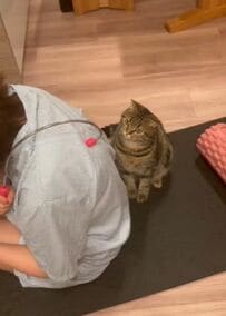 肩こりのツボを探していると　猫がとったまさかの行動に驚き！
