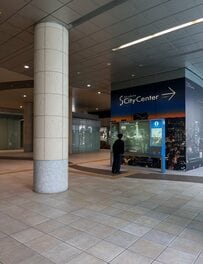 東京・汐留が「まったり散歩にぴったり」な理由　「景色に衝撃」「最高」
